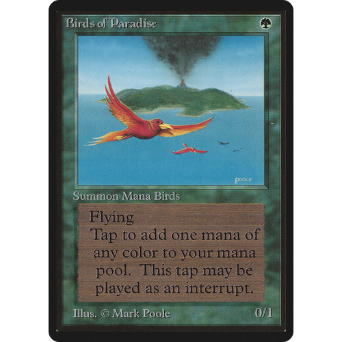 Birds of Paradise [Limited Edition Beta]