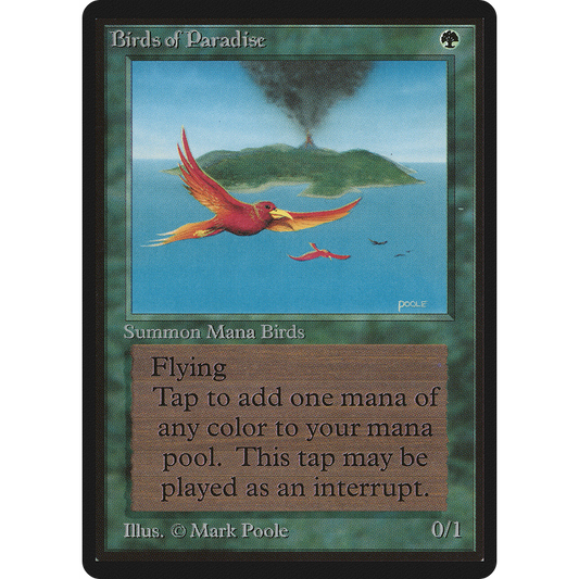 Birds of Paradise [Limited Edition Beta]