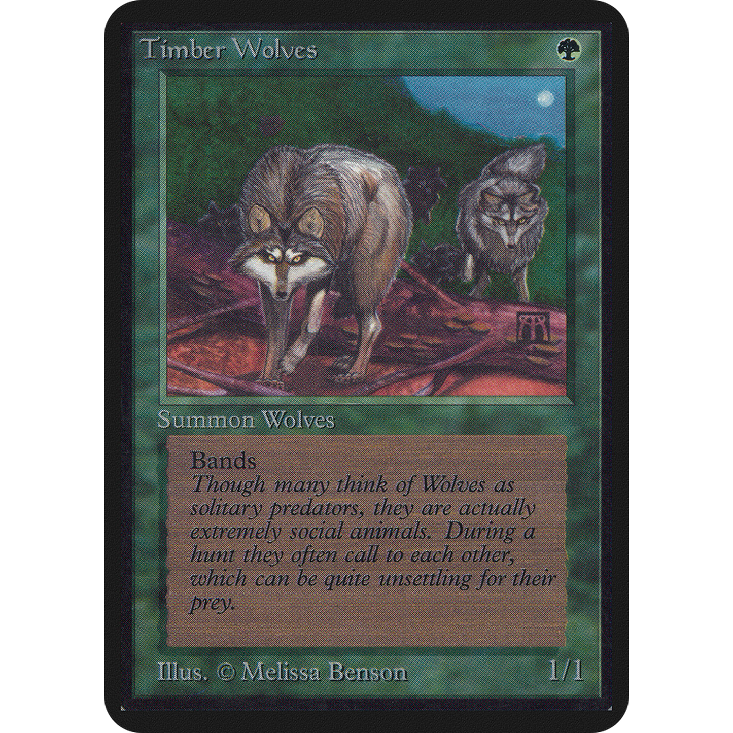 Timber Wolves [Limited Edition Alpha]