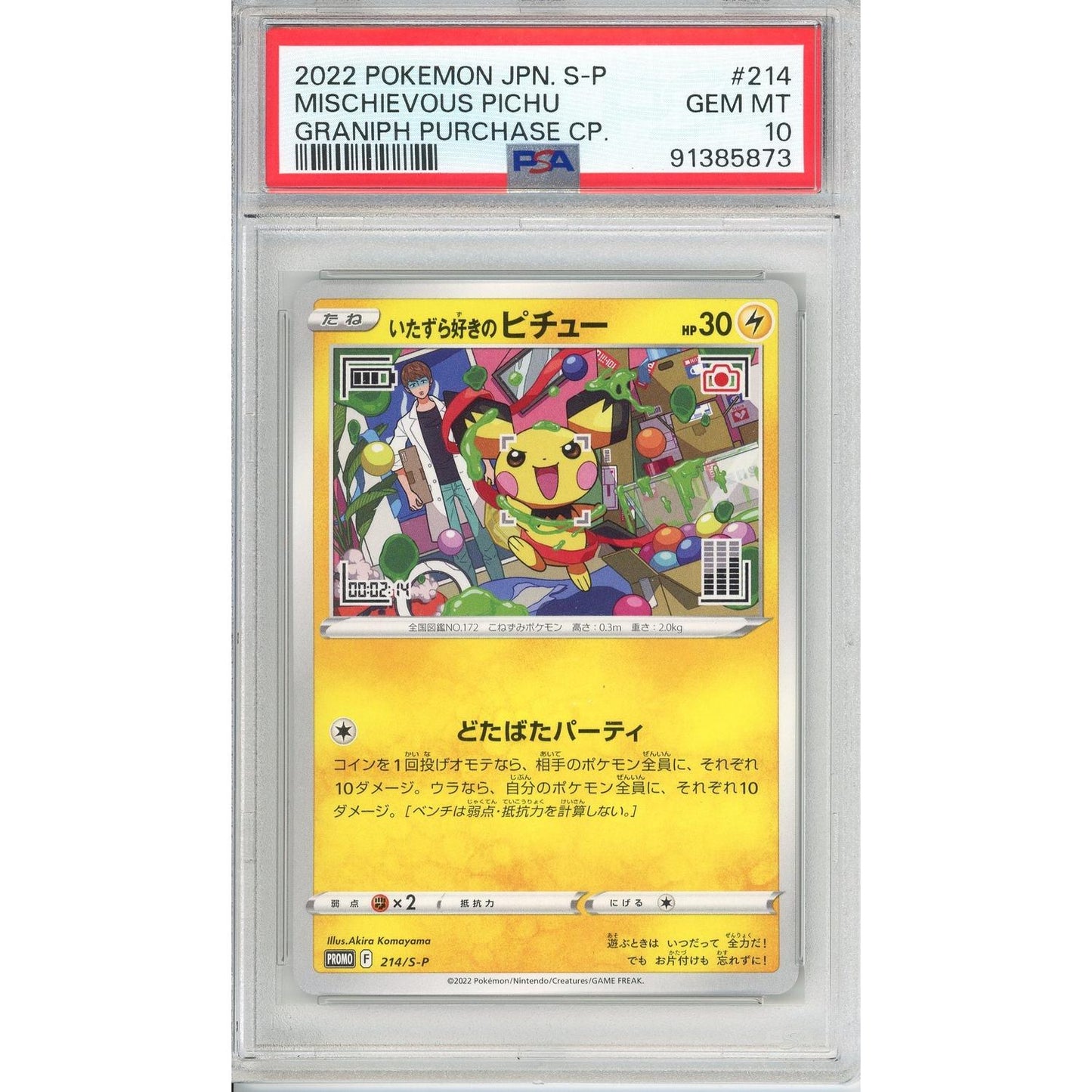 Pokemon Graded: JP Mischievous Pichu PSA 10