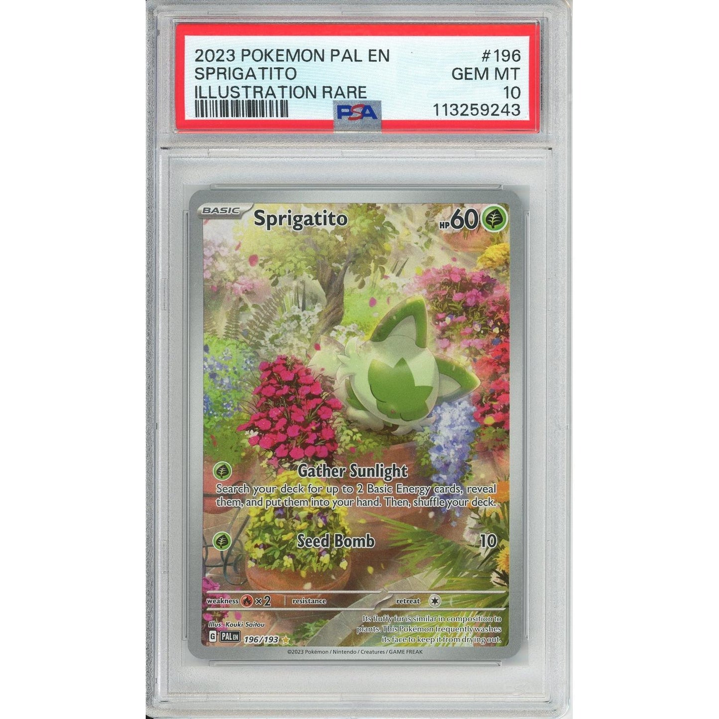 Pokemon Graded: Sprigatito PSA 10