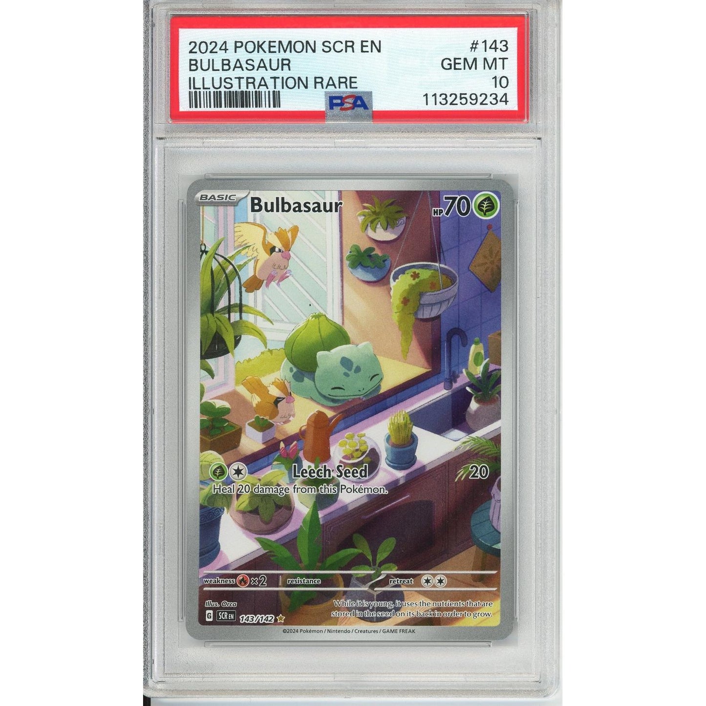 Pokemon Graded: Bulbasaur 143/142 Stellar Crown (2024) IR Holo PSA 10