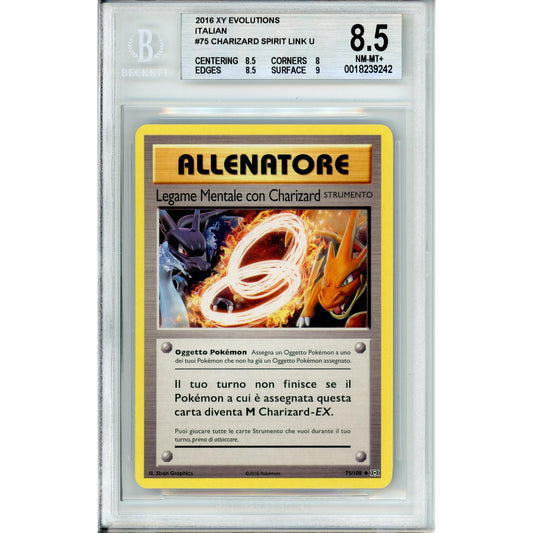 Pokemon Graded: Italian Charizard Spirit Link #75 XY Evolutions (2016) Beckett 8.5