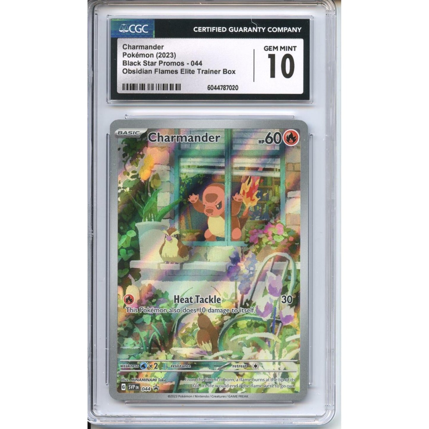 Pokemon Graded: Charmander Promo CGC 10