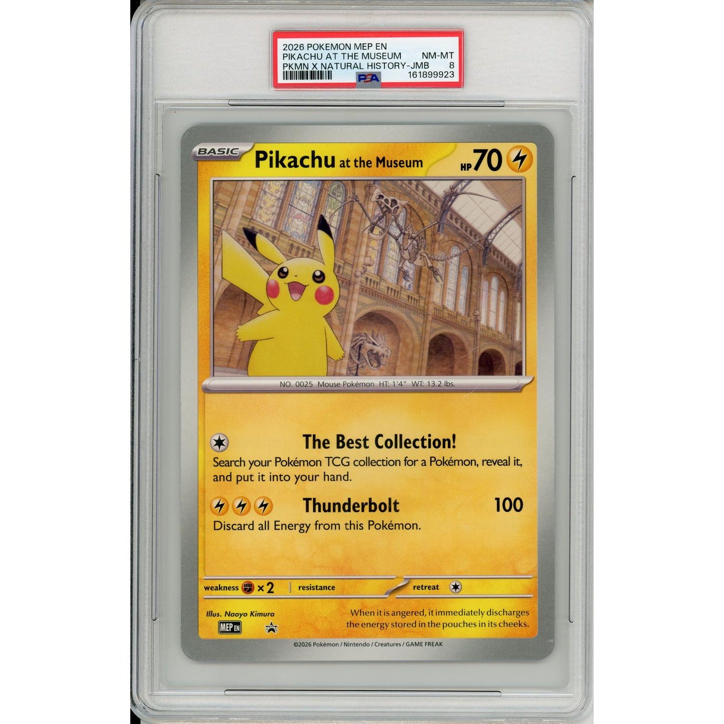 Pokemon Graded: Pikachu at the Museum Natural History Jumbo Promo PSA 8